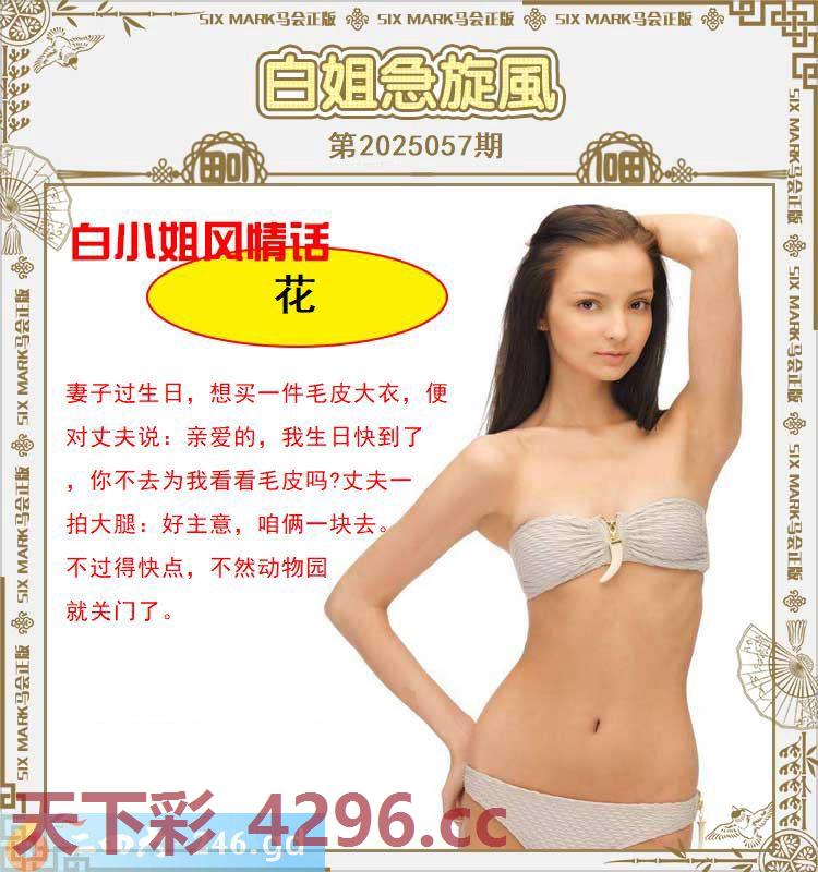 ：白姐急旋风